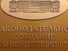 Петербургский ЗакС воздержался от комментария по ситуации с Резником