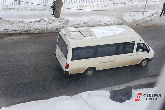 Налоговая и Роспотребнадзор проверят перевозчиков в Петрозаводске