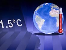 До ананасов в Арктике – рукой подать, главное – выжить