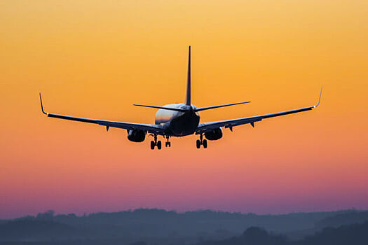 Ryanair раскритиковали в соцсетях и СМИ после ареста главреда Nexta в Беларуси