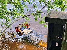 Двое мужчин утонули в водоемах Нижегородской области