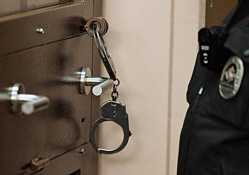 Россиянка оказалась борцом и бросила полицейского через прогиб