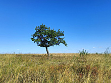 Народные приметы на 5 октября 2025 года: что нельзя делать в этот день