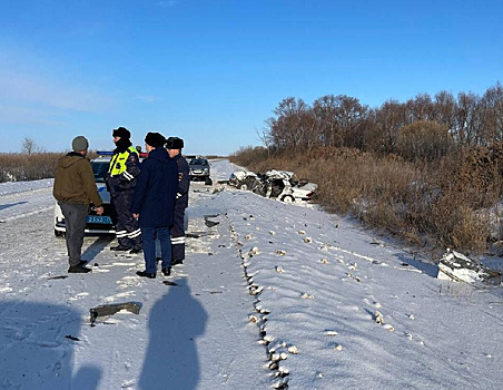 Благовещенец, из-за которого в ДТП погибли педагоги Михайловского района, получил 4,6 лет исправительной колонии