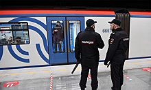 Суд в Москве приговорил к колонии избивших мужчину в метро