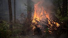 Пожар в поселке Северомуйске в Бурятии охватил 17 домов