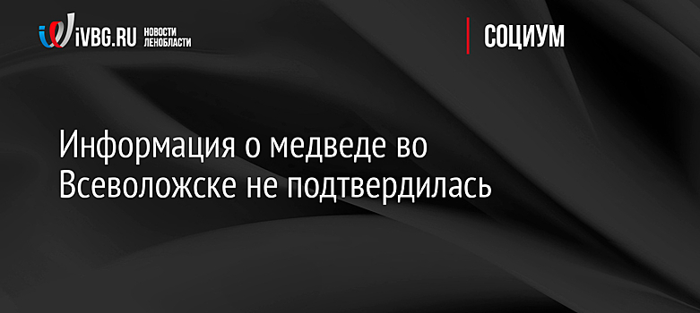 Информация о медведе во Всеволожске не подтвердилась