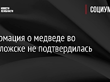 Информация о медведе во Всеволожске не подтвердилась