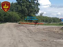 Лось пришел на костромской завод и заставил всех работать