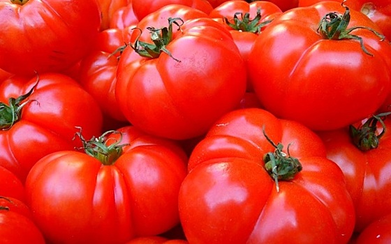 Биологи доказали полезные свойства томата в борьбе с раком