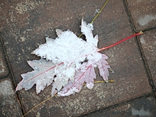 Сильный ветер и похолодание ожидаются в Волгоградской области 14 ноября