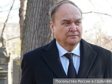 Посол Антонов назвал заявление о вмешательстве России в выборы в США компиляцией сплетен и русофобских выпадов