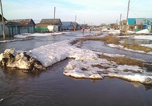 В Вятскополянском районе талые воды подтопили несколько населенных пунктов