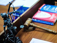 Дело о незаконных вырубках лесных массивов на территории воинских частей в Подмосковье возвращено в прокуратуру