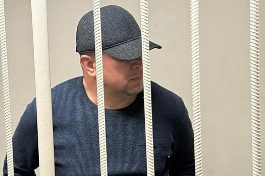 Замглавы Актанышского района Ильшата Габдулхаева отправили в СИЗО по решению суда