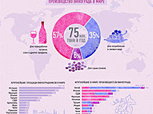 Виноград: польза и вред