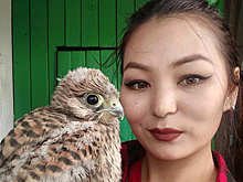 "Спасение рядового чибиса". Как научиться понимать и лечить птиц