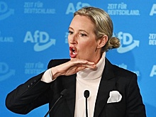 В Германии намерены потребовать компенсацию от Украины за помощь ВСУ