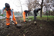 Работы по благоустройству дороги в Роговском начнутся на следующей неделе