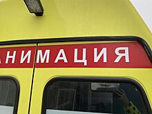 В курском приграничье на мине подорвался 53-летний мужчина