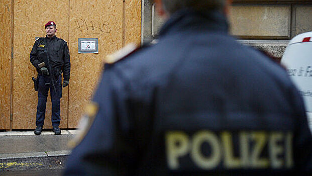 В Австрии отпустили под залог экс-чиновника Минкульта РФ