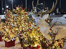 Какой будет погода в Омске на Новый год: прогноз синоптиков