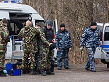 У нефтепровода "Дружба" в Брянской области снова нашли самодельную бомбу – СМИ