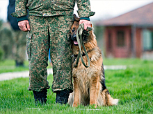 Российских пограничников заподозрили в посягательстве на целостность Украины