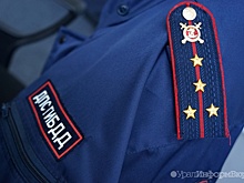 Уральских гаишников наказали за мат автоледи