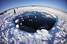 Российские ученые нашли в Антарктиде метеорит