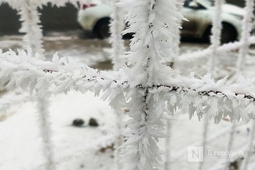 Стало известно, ударят ли крещенские морозы в Нижнем Новгороде в 2026 году
