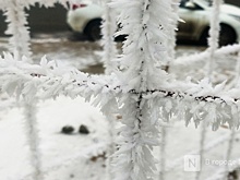 Стало известно, ударят ли крещенские морозы в Нижнем Новгороде в 2026 году