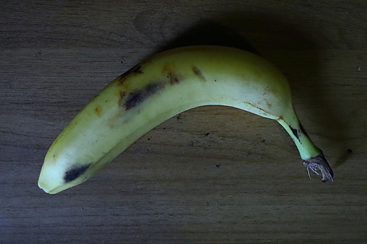 Россиянин случайно сломал пенис во время секса