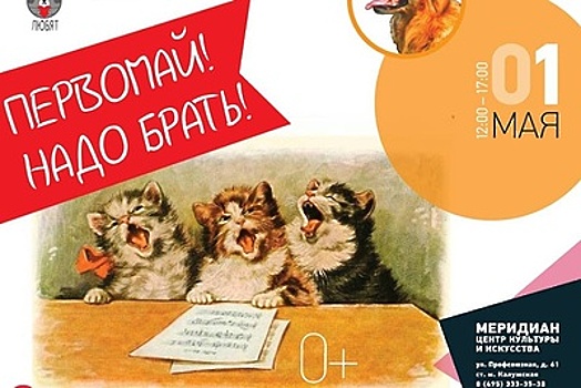 Выставка бездомных животных пройдет 1 мая на юго‑западе Москвы