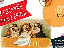 Выставка бездомных животных пройдет 1 мая на юго‑западе Москвы