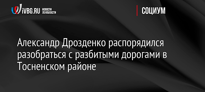 Александр Дрозденко распорядился разобраться с разбитыми дорогами в Тосненском районе