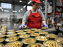 Калининградский рыбный завод «За Родину» остановил экспорт из-за новых пошлин