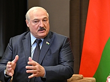 Лукашенко: Зеленский не попросит у Белоруссии убежища