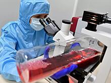Белорусские и российские ученые создадут вакцину против туберкулеза