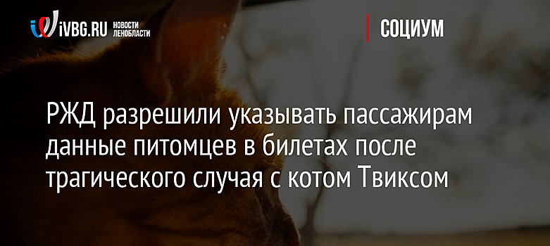 РЖД разрешили указывать пассажирам данные питомцев в билетах после трагического случая с котом Твиксом