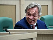 Пушков: США пытаются сохранить лицо, отрицая конкуренцию с БРИКС