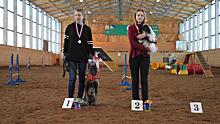 39 собак и их хозяев боролись за Гран-при в турнире по аджилити в Вологде