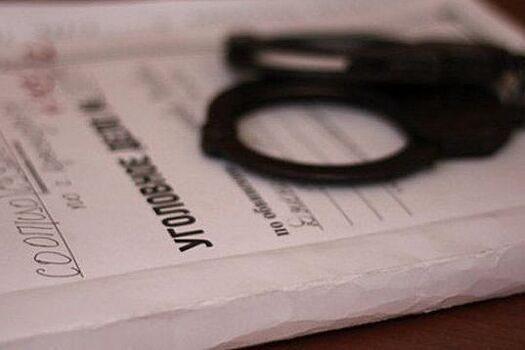 Зеленоградские оперативники поймали подозреваемого в грабеже и краже