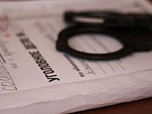 Зеленоградские оперативники поймали подозреваемого в грабеже и краже