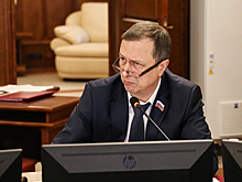Лесопарков будет больше, бродячих собак — меньше