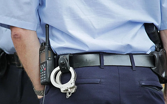 Рязанские полицейские изъяли у двоих закладчиков 2,6 грамма «синтетики»