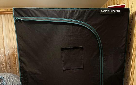 Рязанец устроил в Дашково-Песочне плантацию конопли и вёл дневник наблюдений