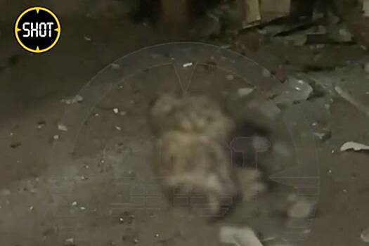Обломки дрона под Ростовом упали на жилой дом и разнесли собачью будку