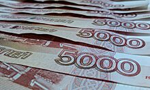 Ректоры красноярских вузов отчитались о доходах за 2019 год