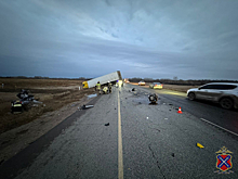 В Волгоградской области столкнулись грузовик и китайская «легковушка»: погибли четыре человека, включая детей